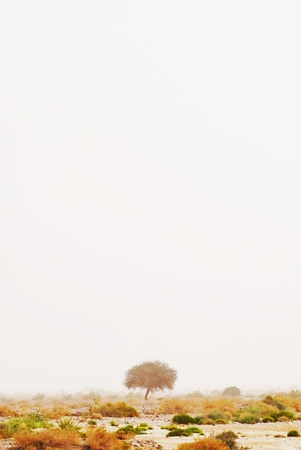 notatnik plus zegarek poranna rutyna